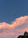 Skyline Flug – Adrenalin