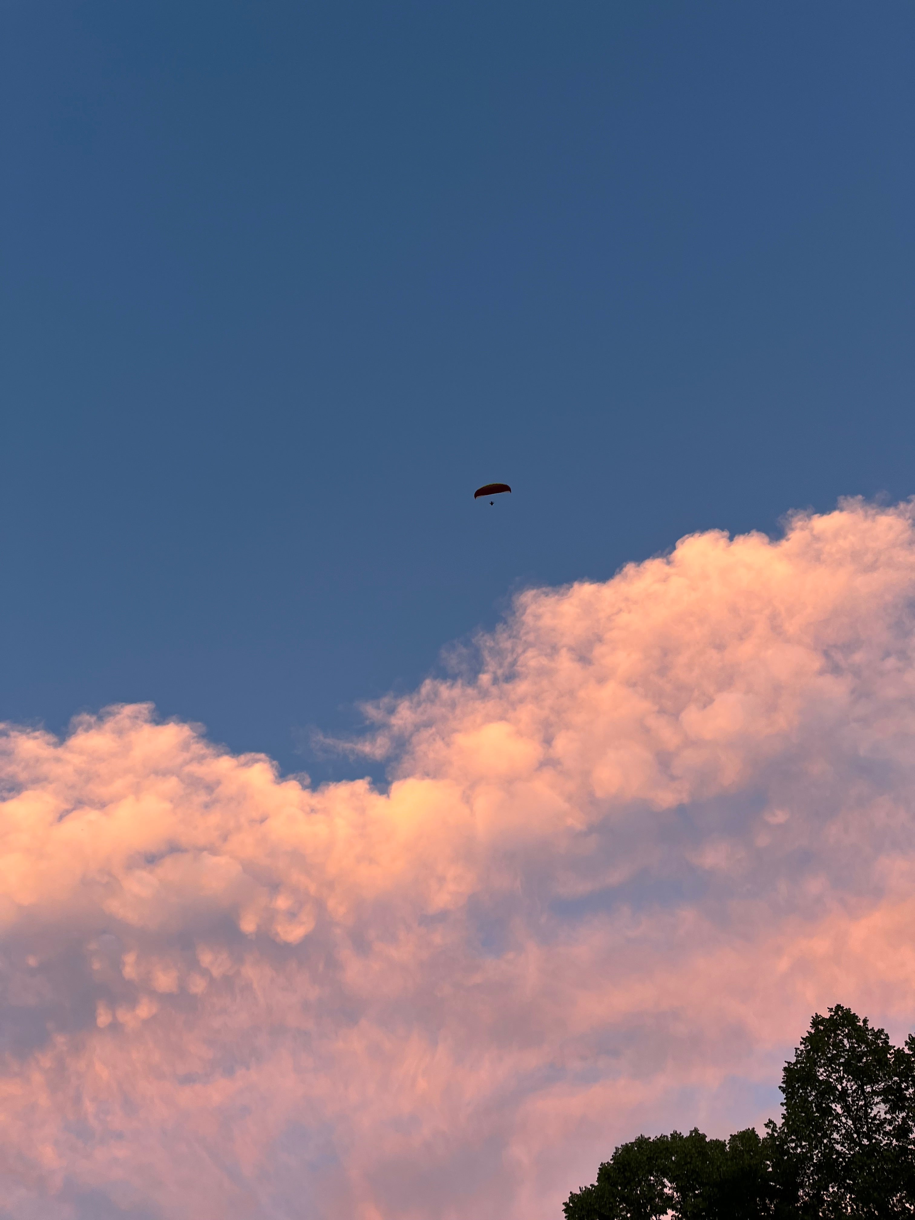 Skyline Flug – Adrenalin
